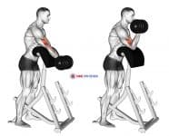 Dumbbell Standing Preacher Curl