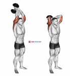 Dumbbell Standing Triceps Extension