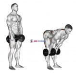 Dumbbell Stiff Leg Deadlift