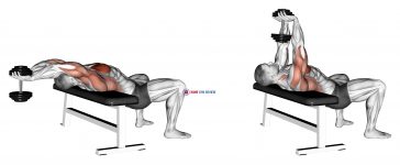 Dumbbell Straight Arm Pullover