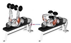 Dumbbell Tate Press