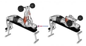 EZ Barbell Decline Close grip Face Press