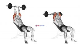 EZ Barbell Incline Triceps Extension