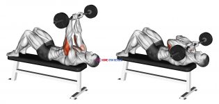 EZ Barbell JM Bench Press