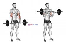 EZ Barbell Reverse Grip Curl