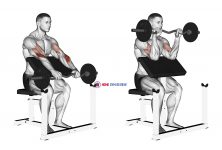EZ Barbell Reverse grip Preacher Curl