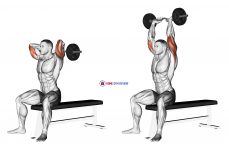 EZ Barbell Seated Triceps Extension