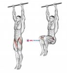 Hanging Leg Raise