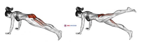 Hip Extension Stretch