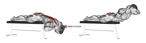 Hyperextension (on bench)