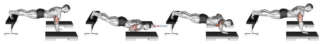 Incline Push Up Depth Jump