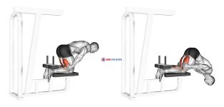 Inverse Leg Curl (bench support)