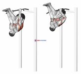 Inverted Row (version 2)