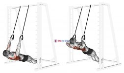 Inverted Row with Straps