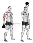 Kettlebell Bottoms Up Clean From The Hang Position