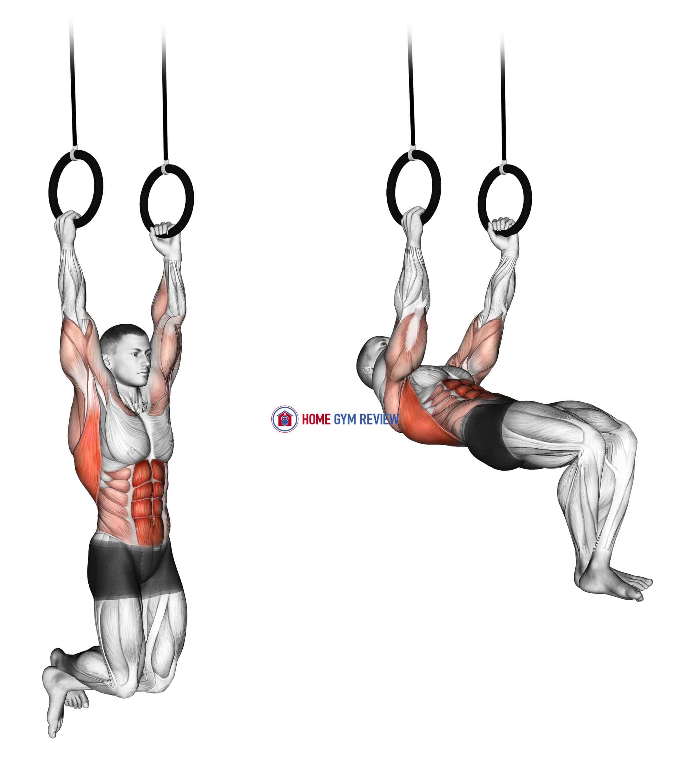 Kipping Muscle Up