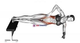 Leg Bench Side Bridge