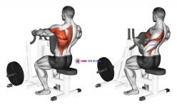 Lever Alternating Narrow Grip Seated Row (plate loaded)
