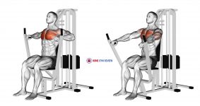 Lever Chest Press