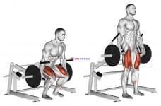 Lever Deadlift (plate loaded)