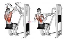 Lever Front Pulldown