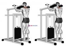 Lever Gripless Shrug