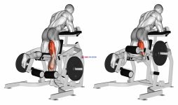 Lever Kneeling Leg Curl (plate loaded)