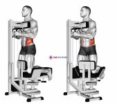 Lever Kneeling Twist