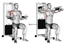 Lever Lateral Raise