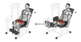 Lever Leg Extension