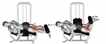 Lever Lying Leg Curl