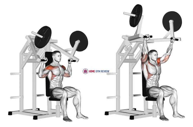 Lever Military Press (plate loaded) Home Gym Review