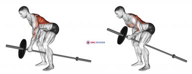 Lever One Arm Bent over Row (plate loaded)