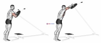 Lever One Arm Shoulder Press (plate loaded)