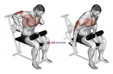 Lever Overhand Triceps Dip