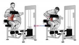 Lever Seated Crunch (chest pad)