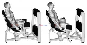 Lever Seated Hip Abduction