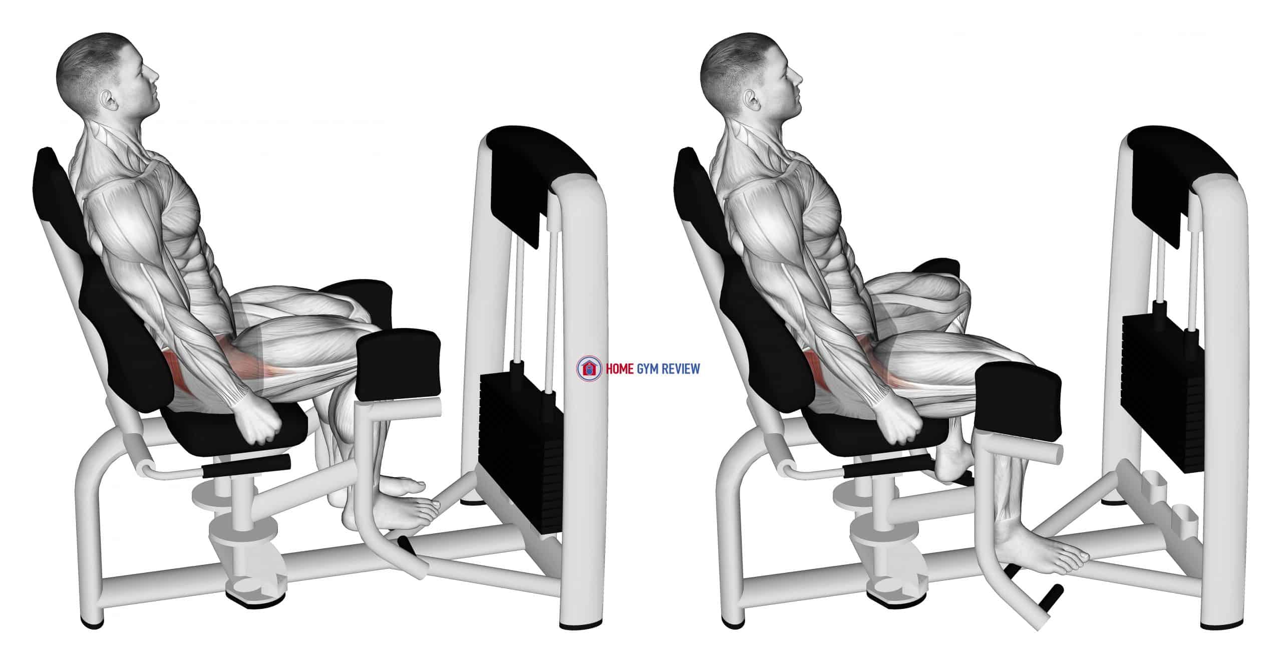 Hip Abduction Exercises Machine At Gail Key Blog