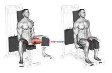 Lever Seated Hip Adduction