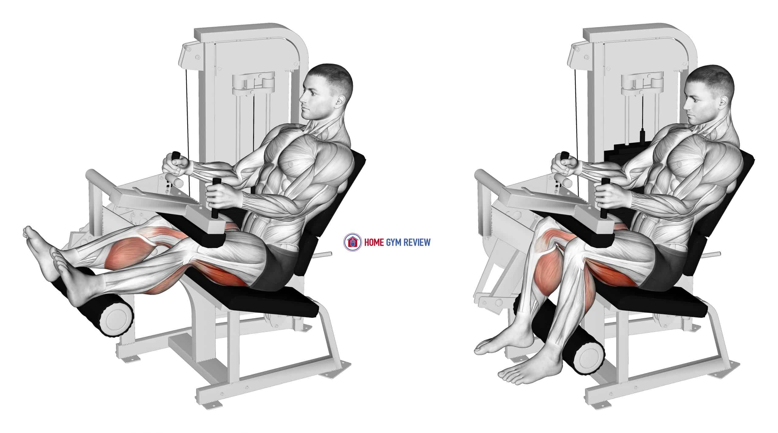 Lever Seated Leg Curl