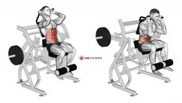 Lever Seated Leg Raise Crunch (plate loaded)