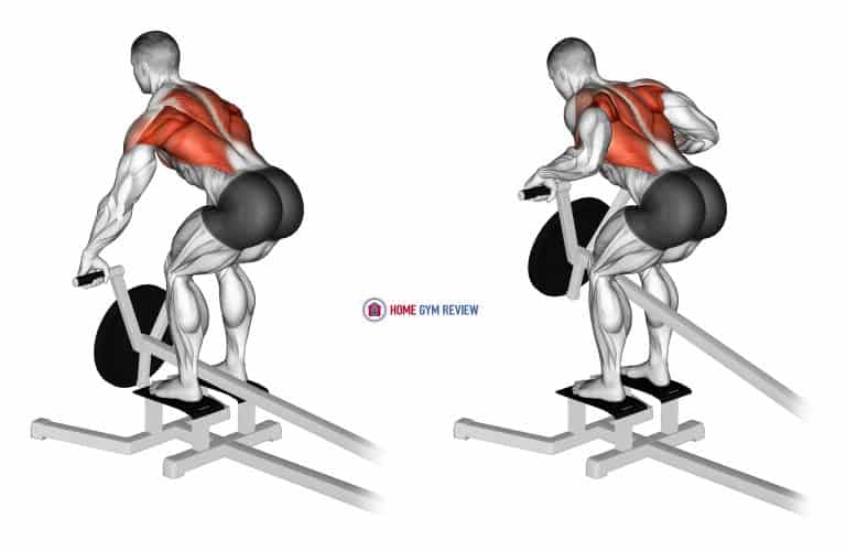 Lever T bar Row (plate loaded) Home Gym Review