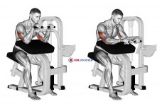 Lever Triceps Extension