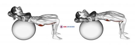 Lying Hip Lift (on stability ball)