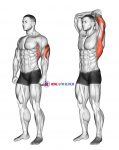 Overhead Triceps Stretch