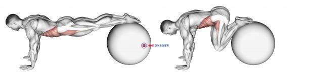 Pull-In (on stability ball)