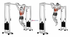 Pull up (neutral grip)