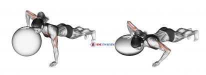 Push-up (one arm on stability ball)