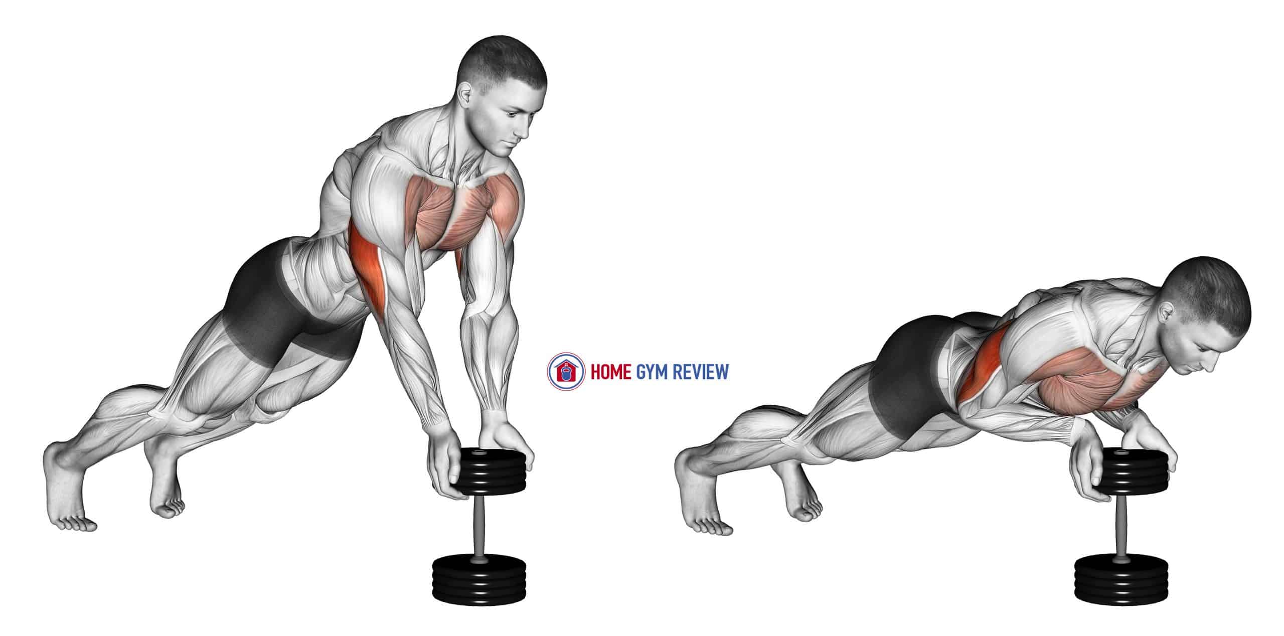 Push-Up Close-grip off Dumbbell