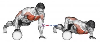 Push-Up Medicine Ball